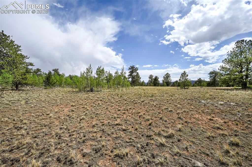 Image 18 of 44: Other