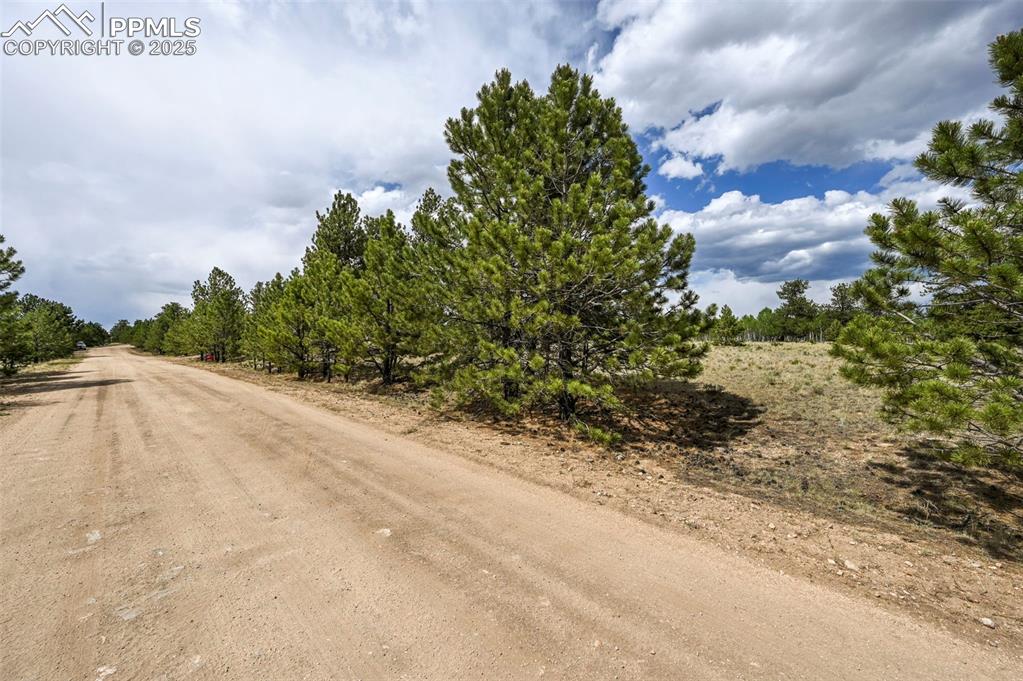 Image 23 of 44: Community