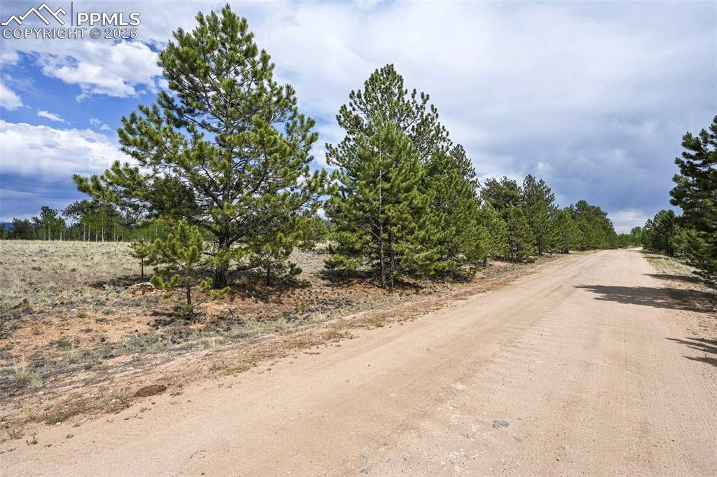 Image 24 of 44: Community