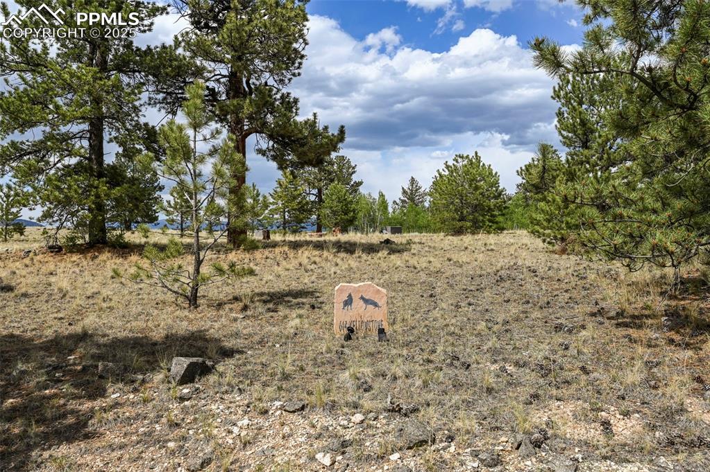 Image 4 of 44: Other