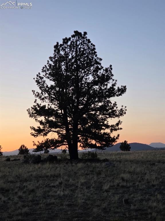 Image 44 of 44: Yard