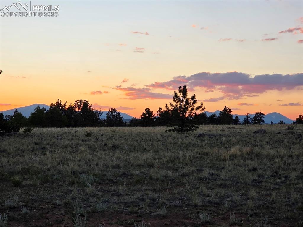 Image 7 of 44: Other