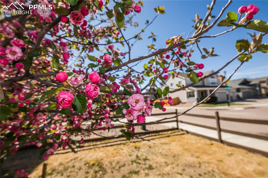 Image 41 of 50: Bedroom