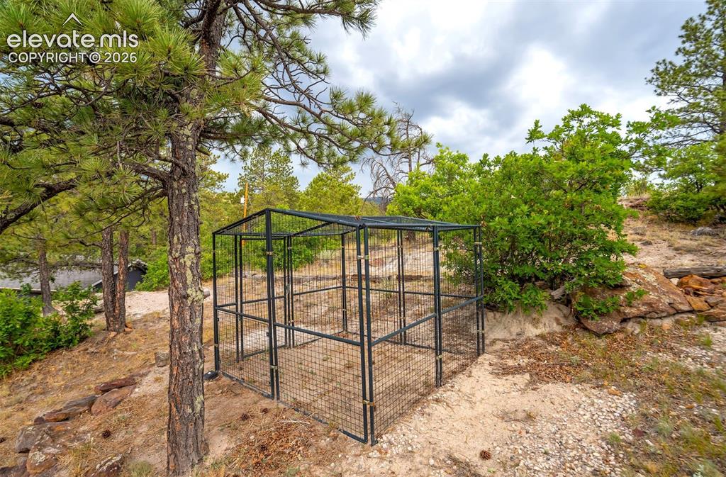 Image 46 of 49: Predator Proof Chicken Coop