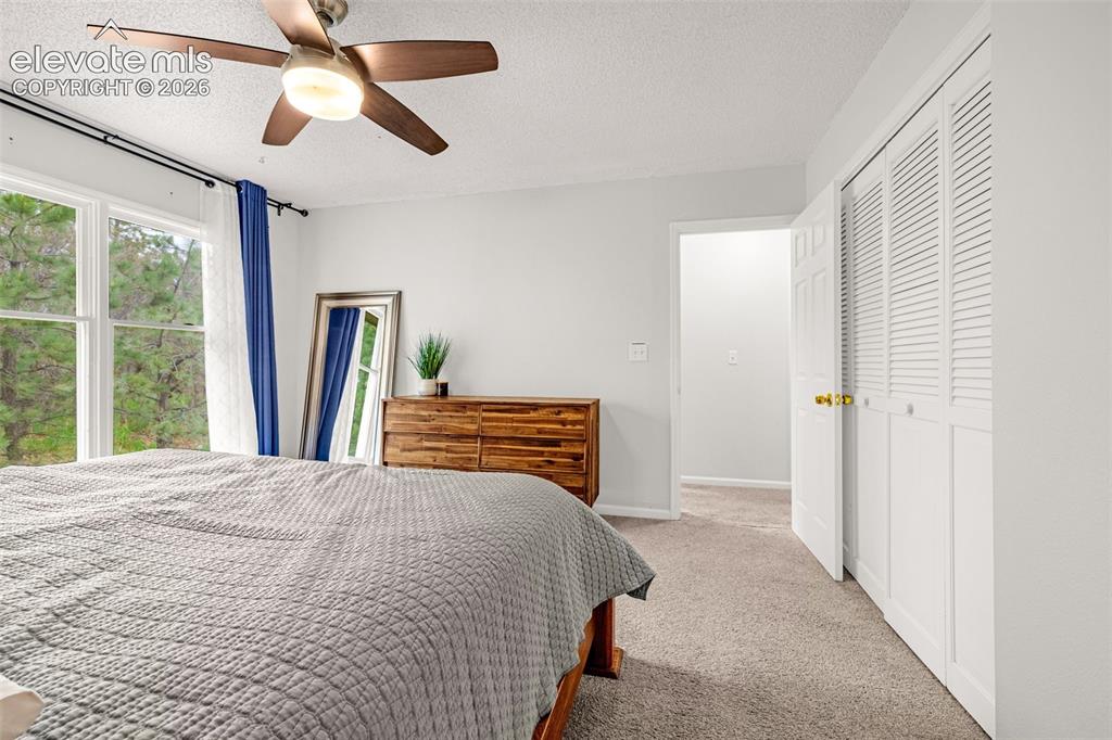 Image 14 of 26: Master Bedroom