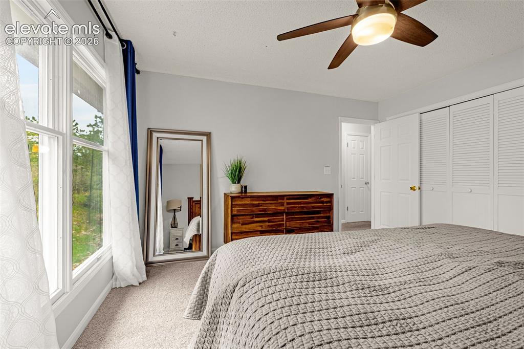 Image 16 of 26: Master Bedroom