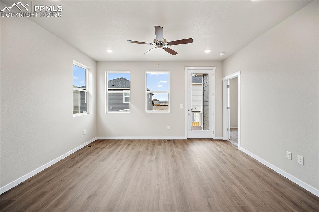 Image 16 of 38: Other