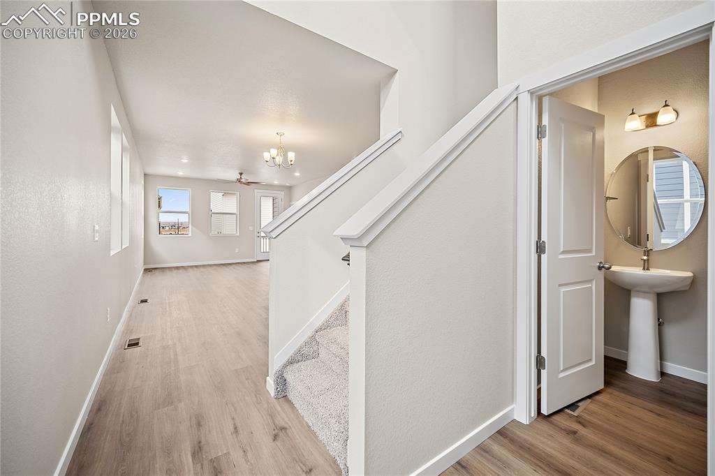 Image 4 of 38: Other