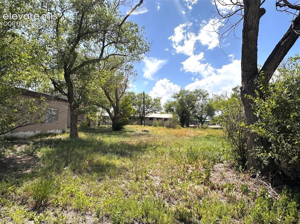 Image 9 of 11: Yard