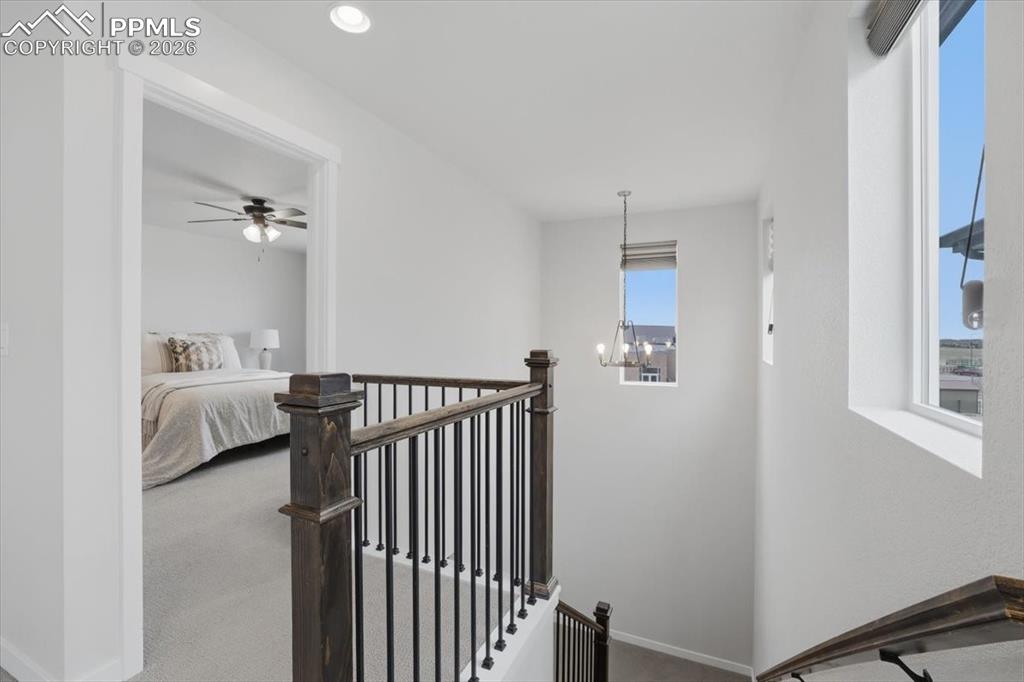 Image 16 of 35: Other