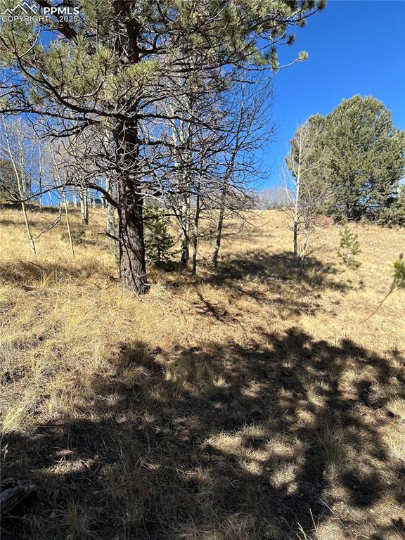 Image 10 of 14: Other