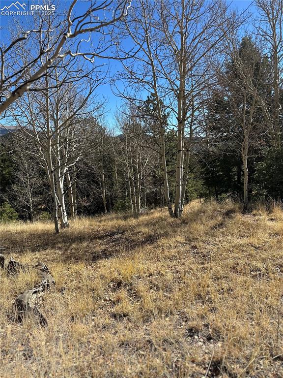 Image 13 of 14: Other