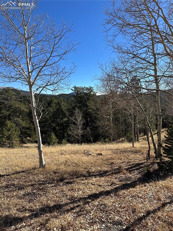 Image 14 of 14: Other