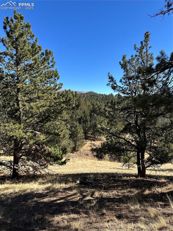 Image 2 of 14: Other