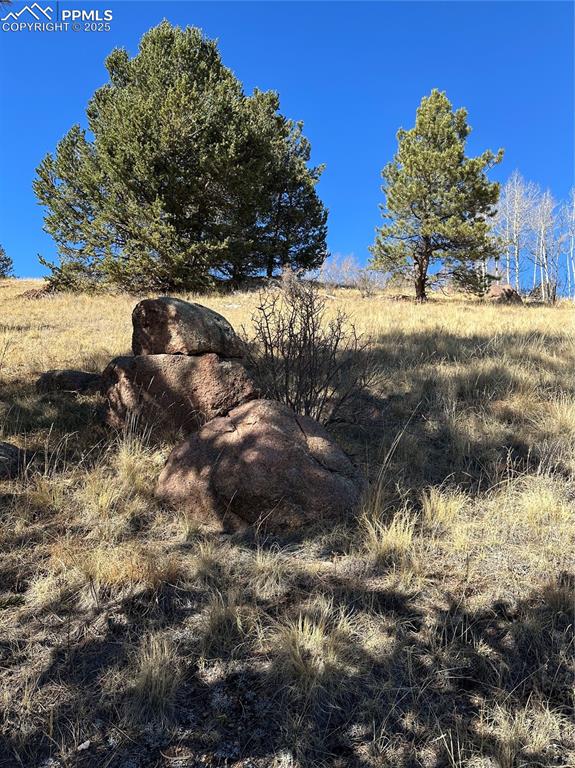 Image 5 of 14: Other