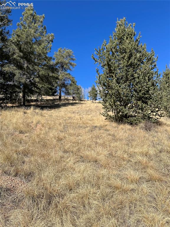 Image 7 of 14: Other