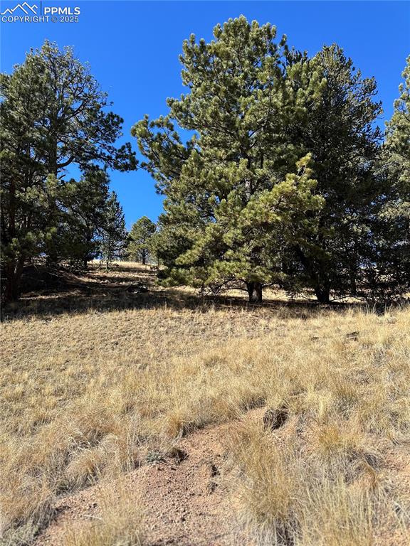 Image 8 of 14: Other