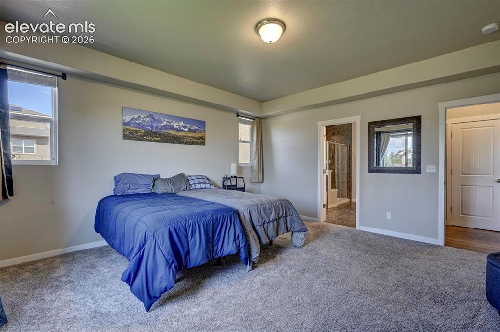 Image 24 of 40: Carpeted flooring, recessed ceiling, light-toned walls, and multiple window