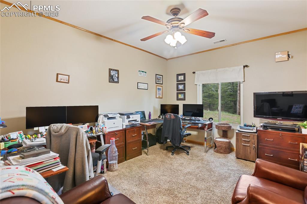 Image 17 of 33: The Bedroom featuring crown molding matching baseboards, light carpet, and 