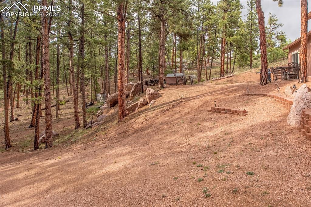 Image 28 of 33: The private yard with a lot of tall trees!