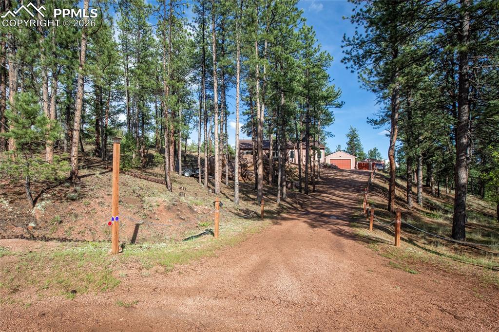 Image 32 of 33: The dirt driveway!