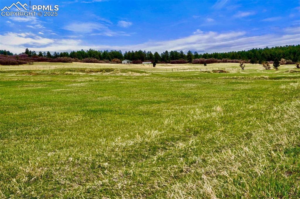 Image 10 of 19: Other