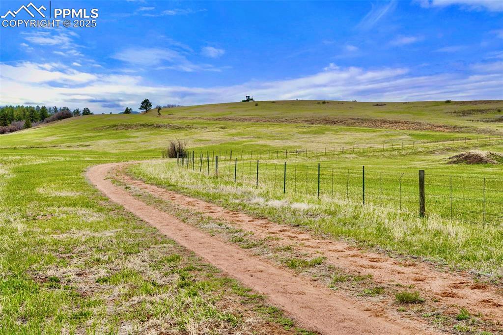 Image 12 of 19: Yard