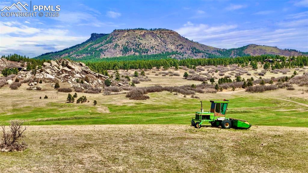 Image 13 of 19: View