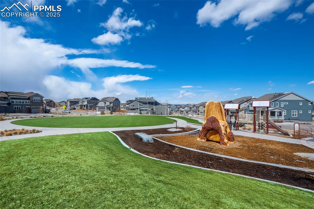 Image 35 of 35: Other