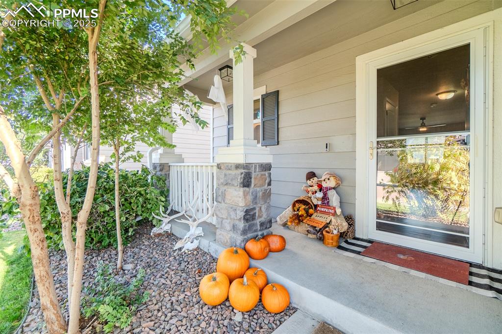 Image 2 of 47: Entry