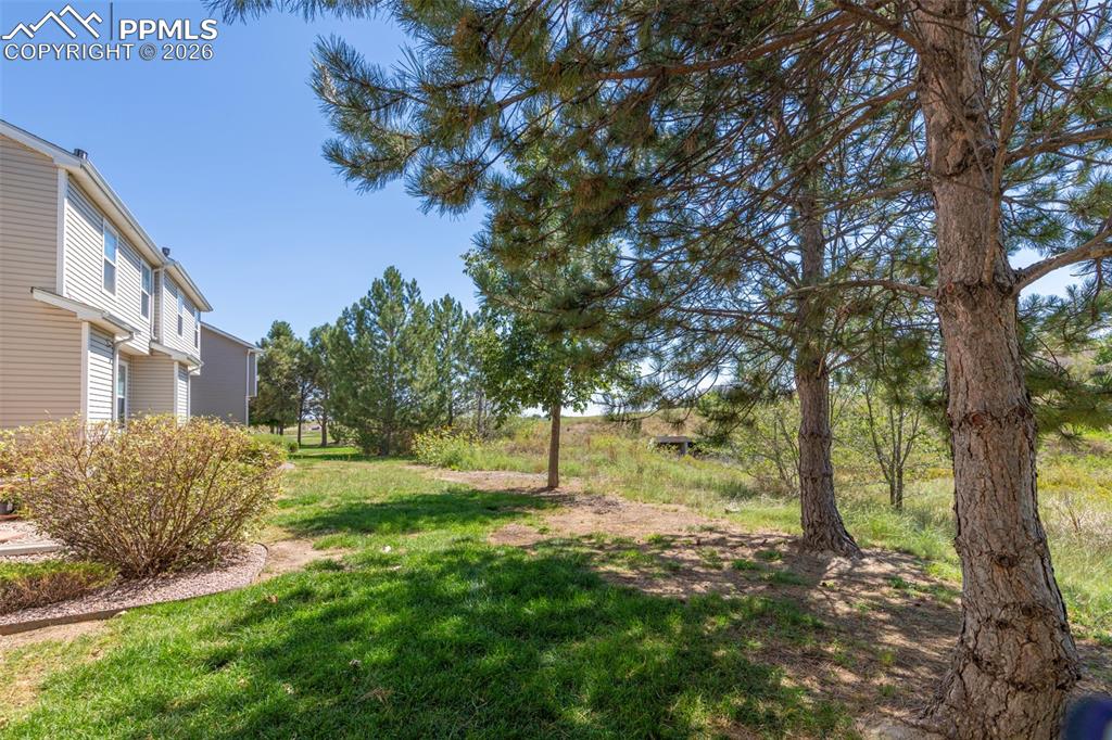 Image 31 of 34: View of green lawn