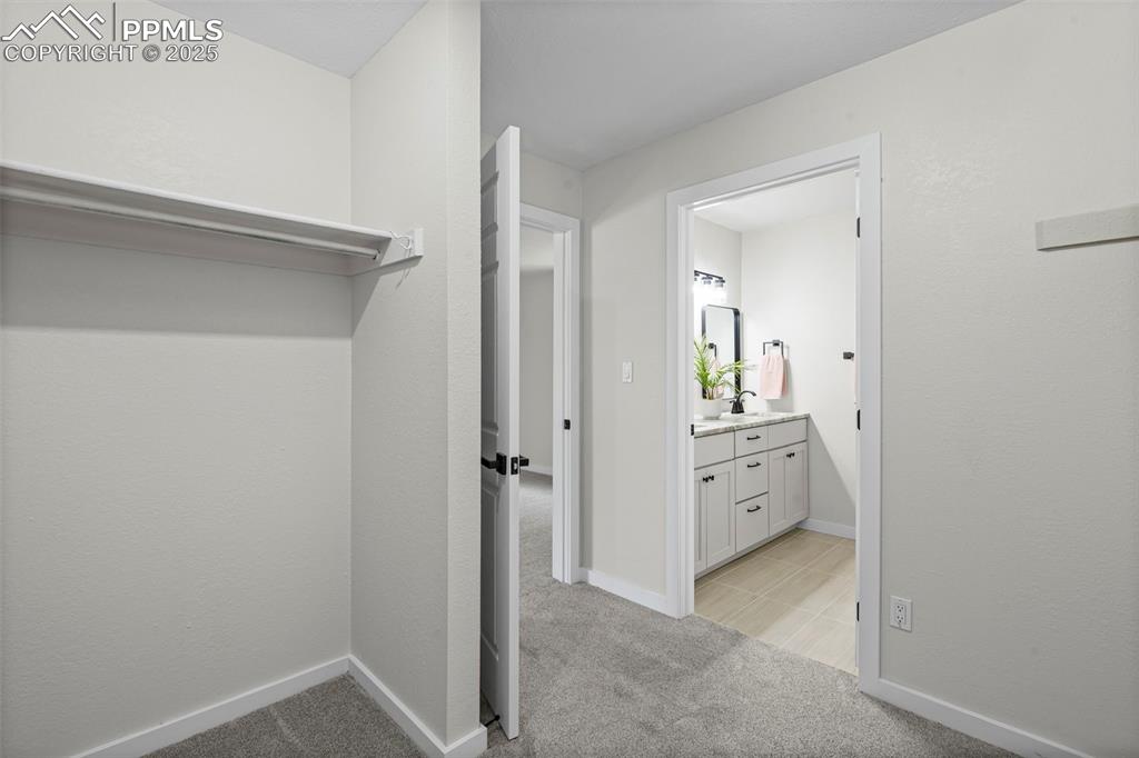 Image 23 of 48: Walk in closet featuring light colored carpet and a sink