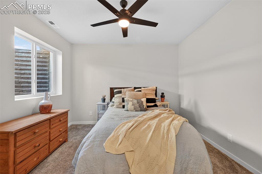 Image 34 of 43: Basement bedroom with walk-in closet