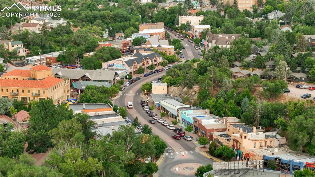 Image 13 of 47: Drone Bird