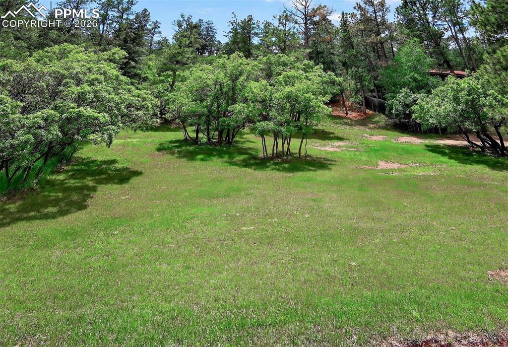 Image 48 of 49: Yard