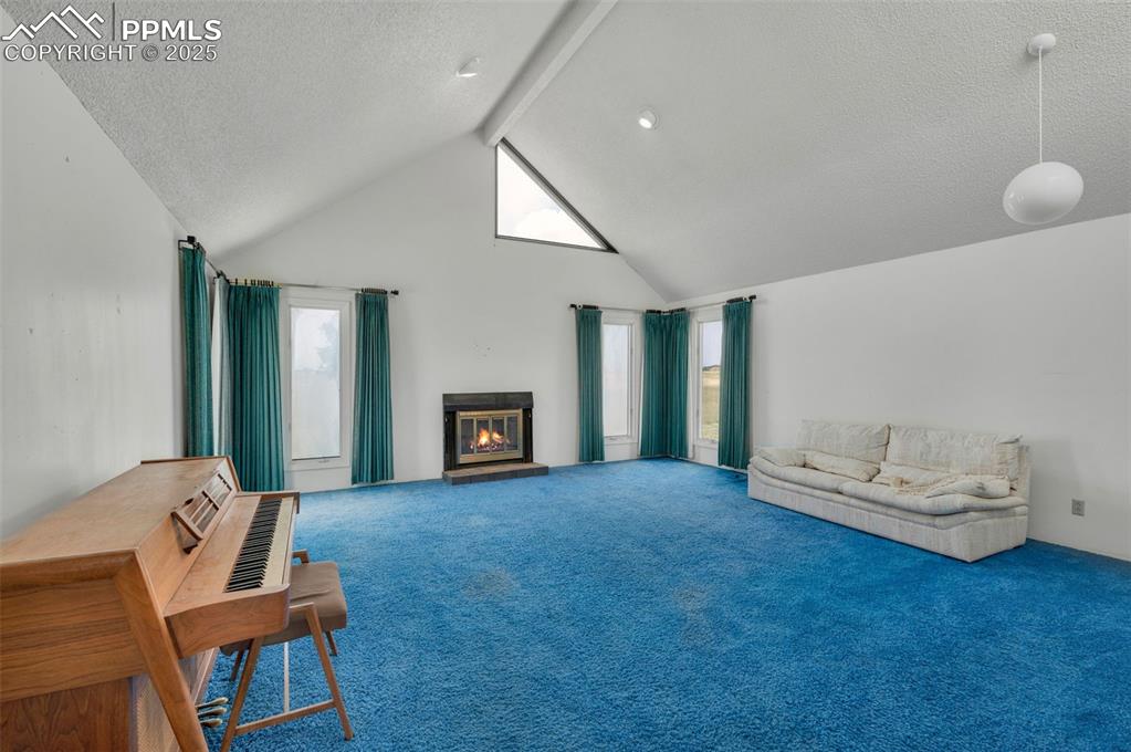 Image 8 of 50: Beautiful valuted ceiling with skylights on each end of the room