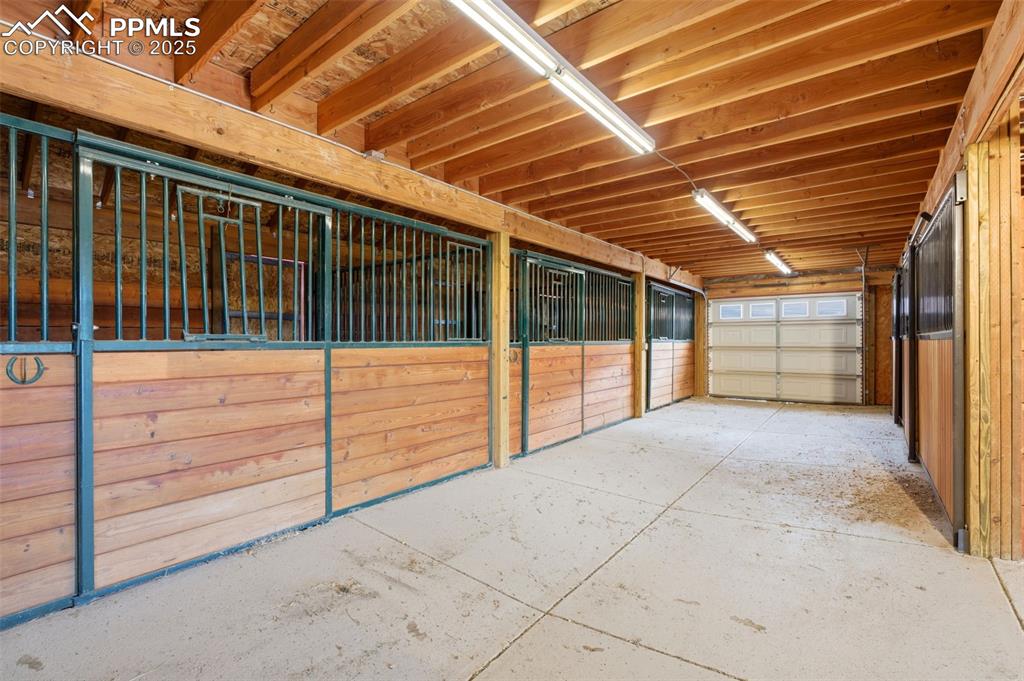 Image 46 of 50: Stable