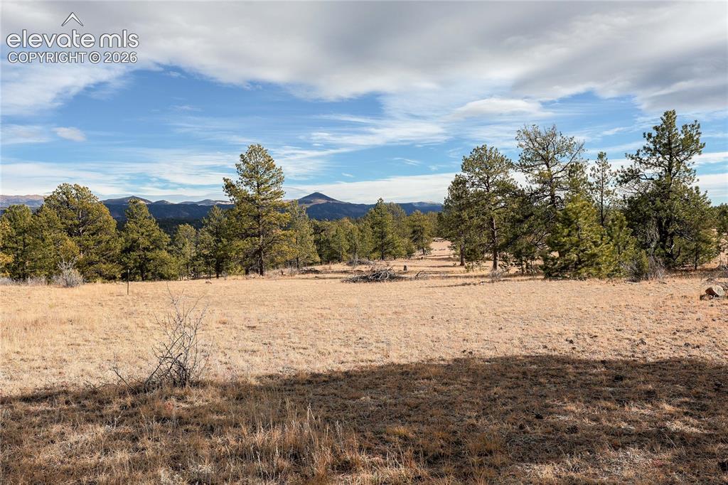 Image 12 of 20: View