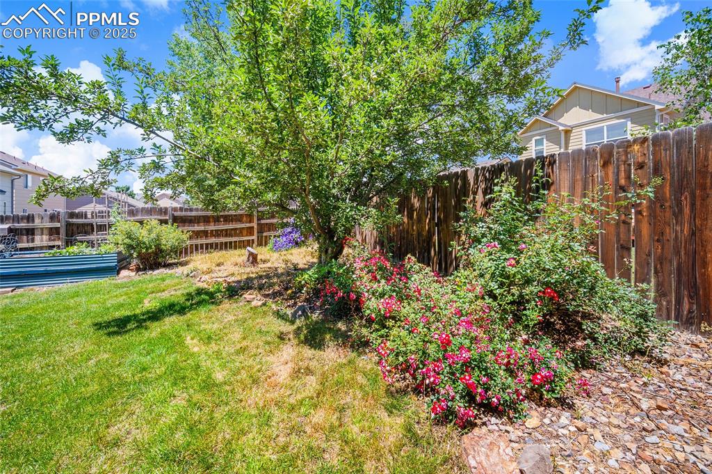 Image 40 of 46: This yard is ready for you to hang out and enjoy and relax!