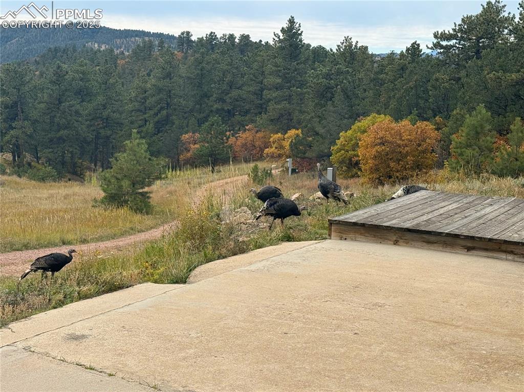 Image 37 of 37: Yard