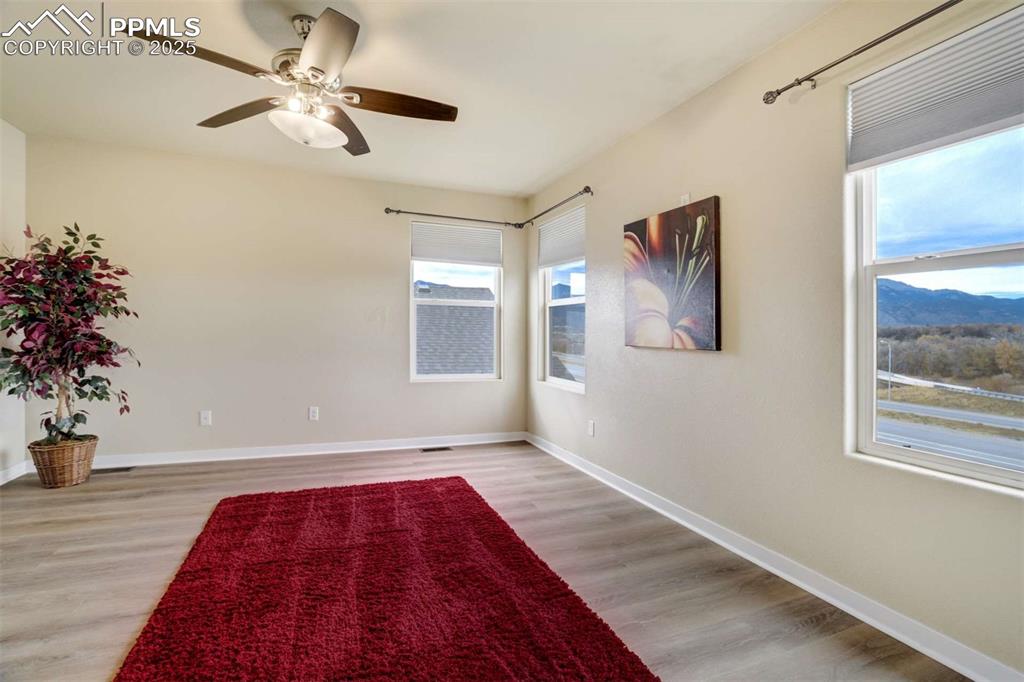 Image 26 of 50: Primary Bedroom (Window View) – Corner perspective emphasizing abundant nat