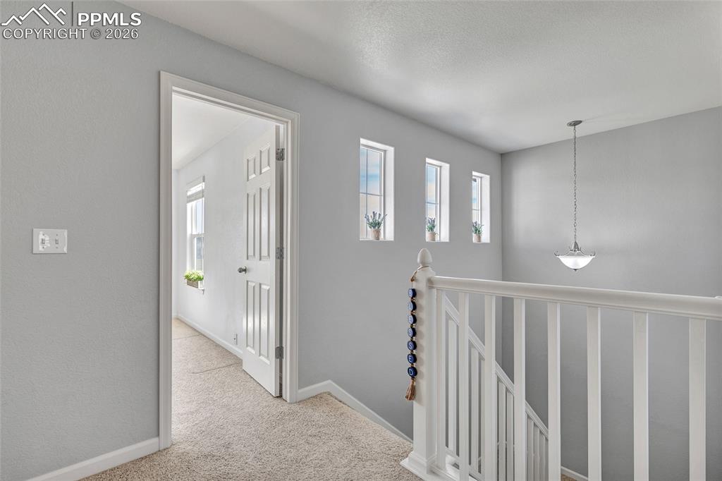 Image 19 of 38: Freshly painted hallway with lots of natural lighting
