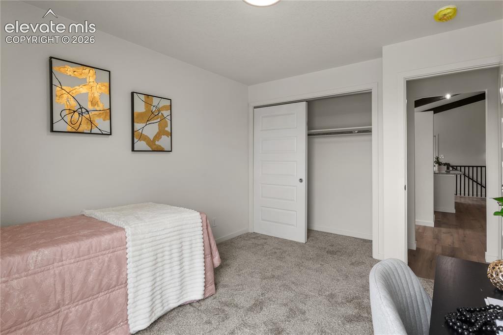 Image 16 of 30: Carpeted room featuring a ceiling-mounted light fixture and a sliding door 