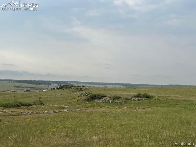 Image 14 of 23: Other