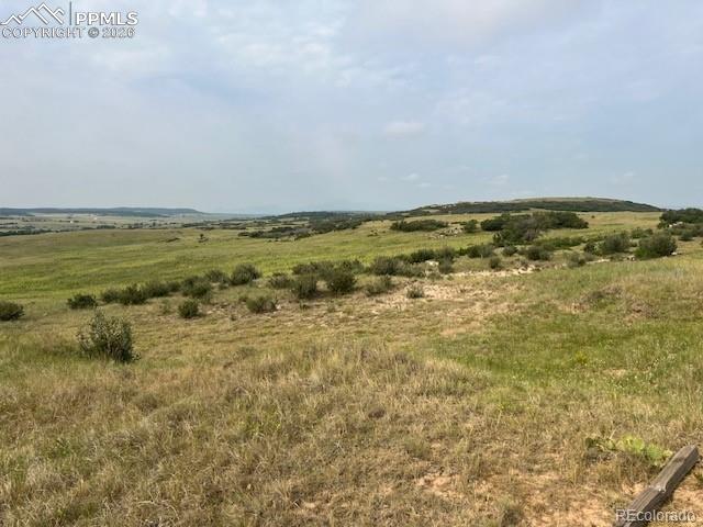 Image 18 of 23: Other