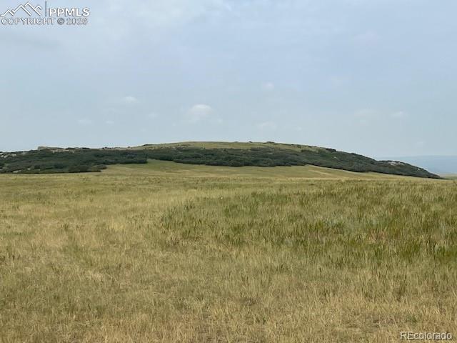 Image 19 of 23: Other