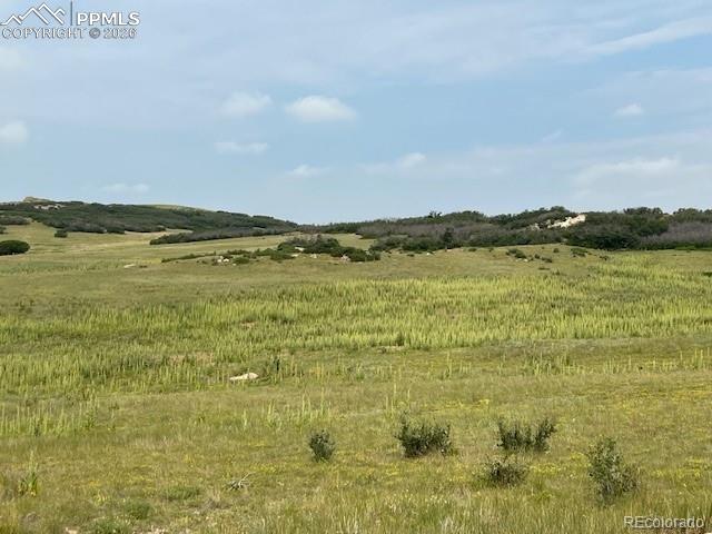 Image 22 of 23: Other