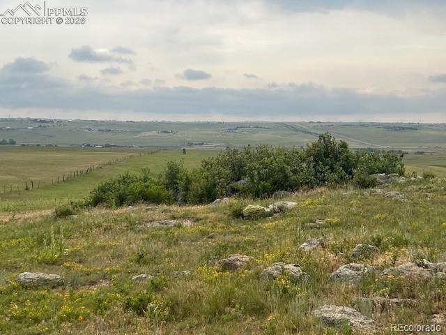 Image 3 of 23: Other