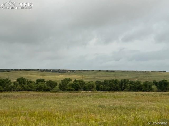 Image 7 of 23: Other