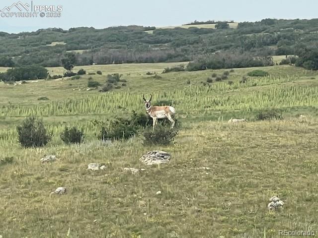 Image 8 of 23: Other